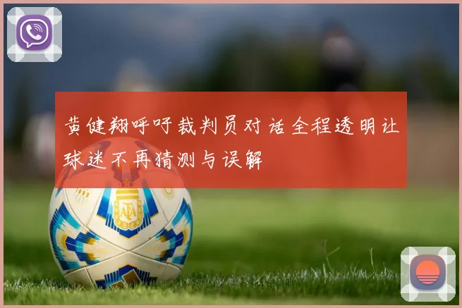 黄健翔呼吁裁判员对话全程透明让球迷不再猜测与误解